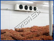 Камеры для хранения продуктов